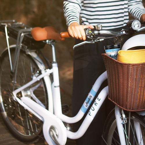ice cream electric bike