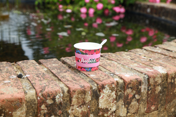 Tub of Rose Ice Cream by the pond at Mottisfont